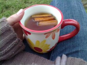 Hot apple and cinnamon at the Tiny Tea Tent